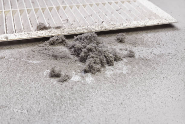Best Air Quality Test  in Jonesville, MI
