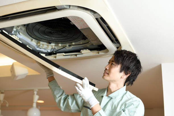 Best Affordable Duct Cleaning Services  in Jonesville, MI
