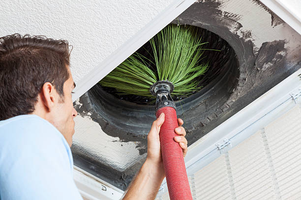 Best Air Duct Cleaning Near Me  in Jonesville, MI