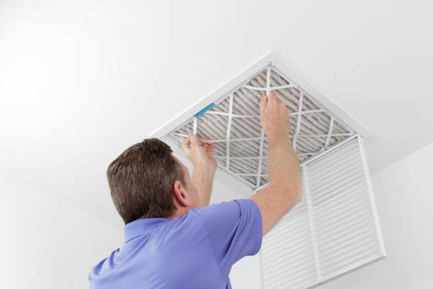 Air Duct Mold Removal in Jonesville, MI